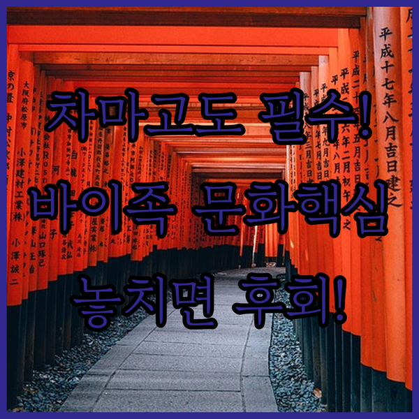 차마고도 샤시구전 홈스테이 대공개 바이족 전통 숙소의 숨겨진 문화적 매력