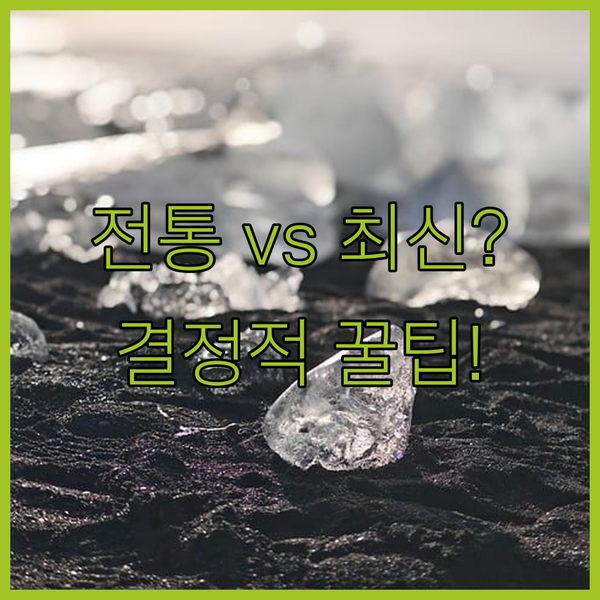 사슴 공원 앞 전통 료칸 아스카소와 최신 온천 호텔 온야도 노노 결정적인 차이
