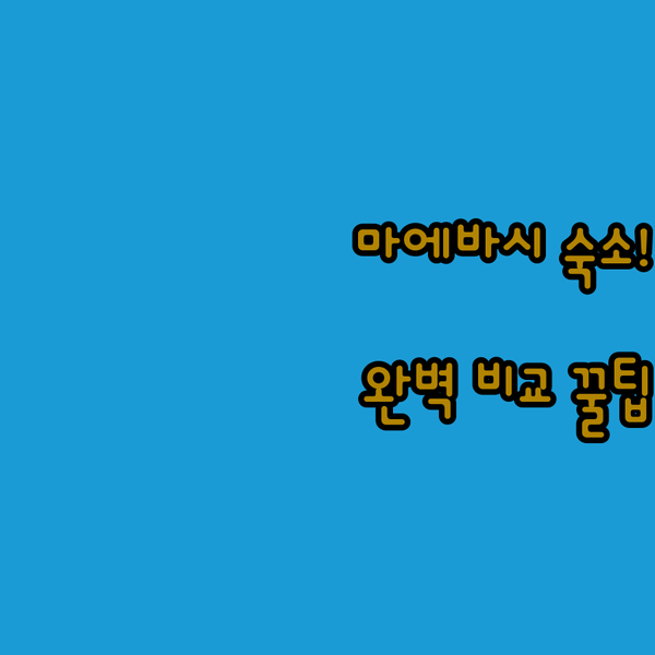 마에바시 여행 숙소 고민 끝 도미 인 컴포트 토요코인 완벽 비교 가이드