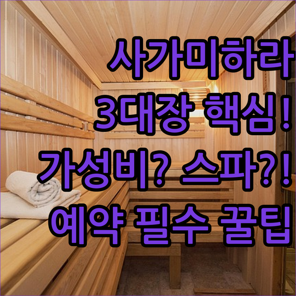 사가미하라 호텔 3대장 가성비부터 스파까지 완벽 비교