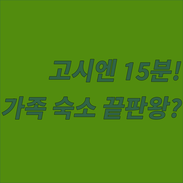 고시엔 15분 효고 오사카 호텔 가족여행 끝판왕은 이 곳