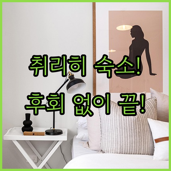 취리히 숙소 3파전 가격 시설 정책 완벽 분석하고 후회 없이 예약하는 법