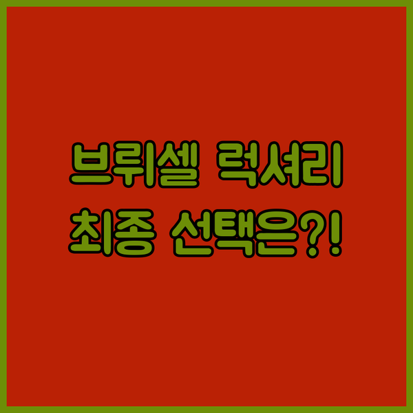 워릭 힐튼 풀먼 브뤼셀 최고의 럭셔리 호텔 선택 가이드 완벽 비교 분석