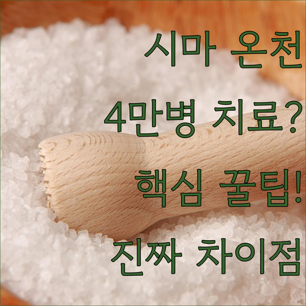 4만 가지 병을 치료하는 군마 시마 온천 료칸 알고보니 이런 차이가
