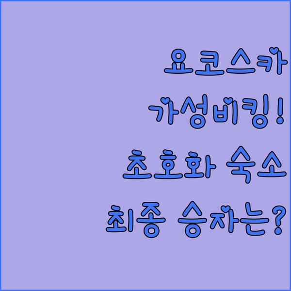 요코스카 호텔 가성비 끝판왕 VS 압도적 럭셔리 숙소 대결의 승자는
