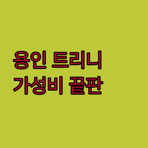가성비 끝판왕 용인 트리니호텔 숙박 후기 에버랜드, 광교 호수공원 방문은 여기에서