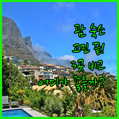 괌 여행, 어디서 묵을까? 괌 플라자 리조트, 호텔 타노 괌, 롯데 호텔 괌 완벽 비교!