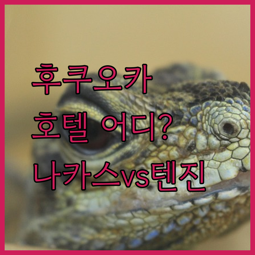 후쿠오카 호텔 어디로 갈까? 나카스, 텐진 지역 완벽 분석!