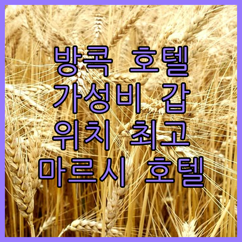 방콕 마르시 호텔 숙박 후기 가성비와 위치, 모두 잡았다!