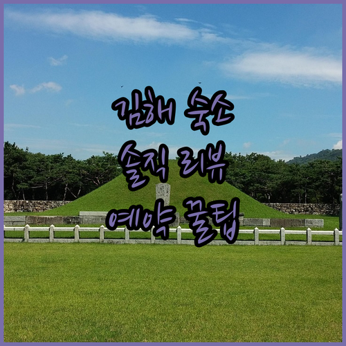 김해 숙소 추천 롯데호텔앤리조트 김해, 호텔파인그로브, 아이스퀘어호텔 생생 리뷰와 예약 꿀팁