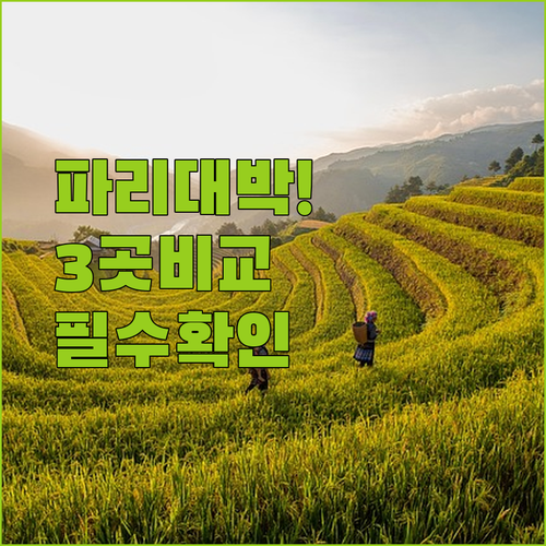 파리 중심 아파트호텔 3곳 비교, 당신의 여행 스타일에 맞는 곳은