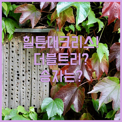 케언즈 숙소 비교 힐튼 vs 크리스탈브룩 vs 더블트리 가성비 끝판왕은