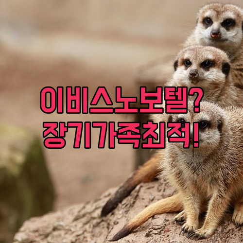 장기 체류 가족 여행에 최적, 멜버른 이비스와 노보텔 추천